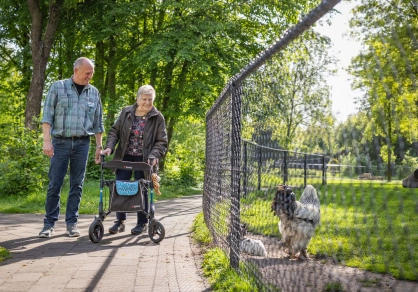 Valpreventie voor ouderen: veiligheid begint bij bewustwording