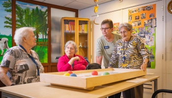 Vrijwilliger woongroepen