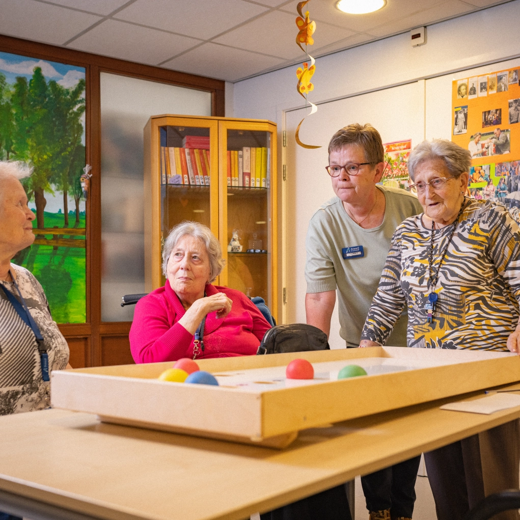 Vrijwilliger woongroepen