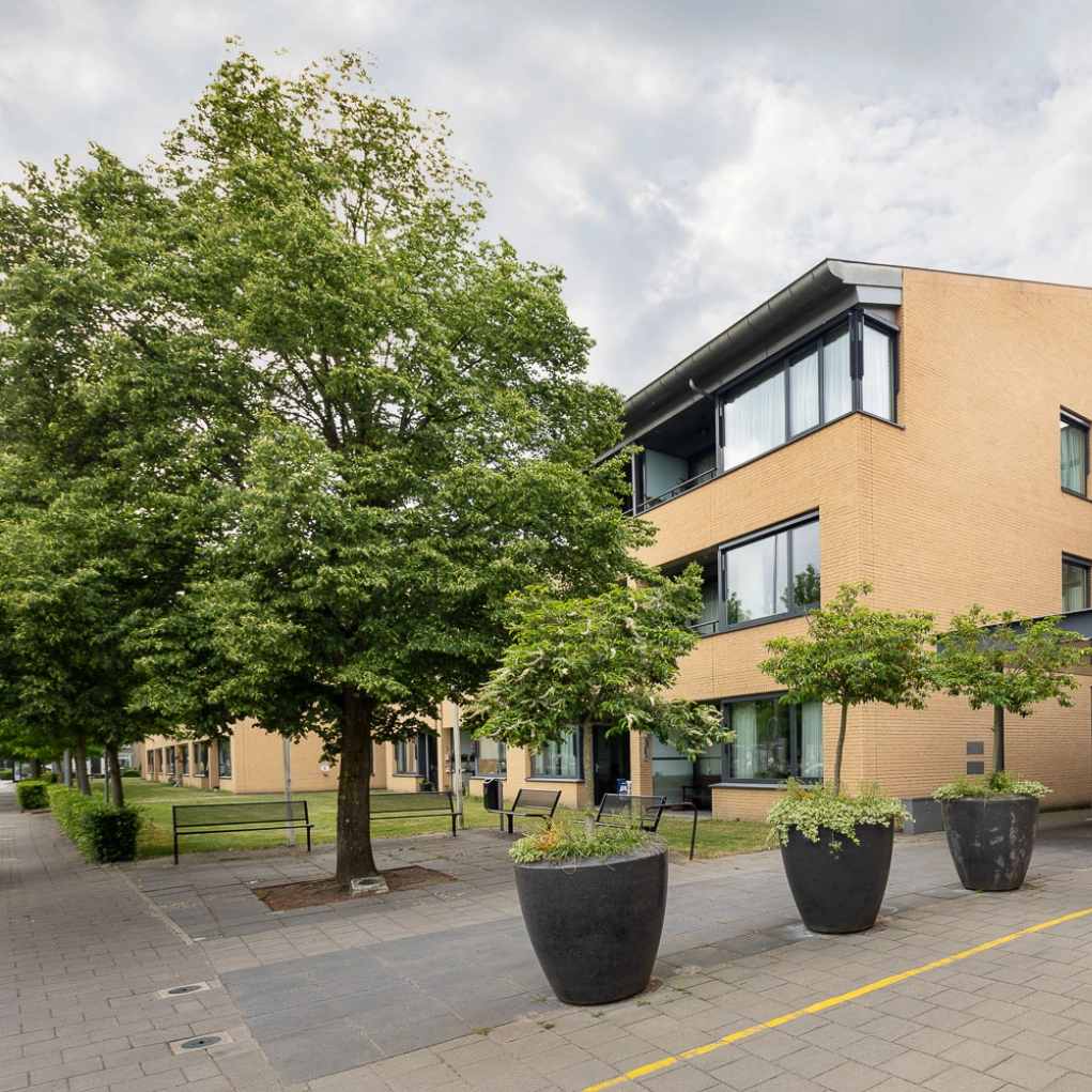 Vrijwilliger dagbesteding Rijserf