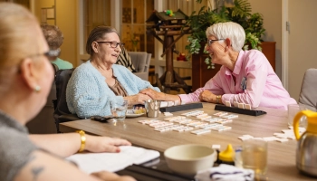 Vrijwilliger Tijdelijk Verblijf